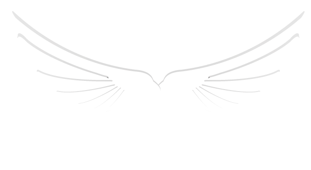 Flacon Aviación Logo Blanco